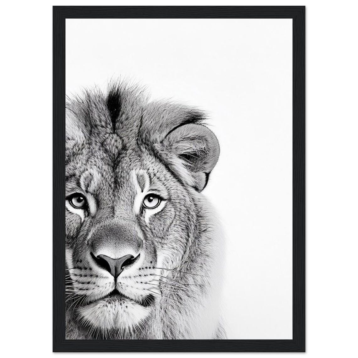 Peeking Lion Close-Up Black and White Big Cat Photography Poster - Image 2