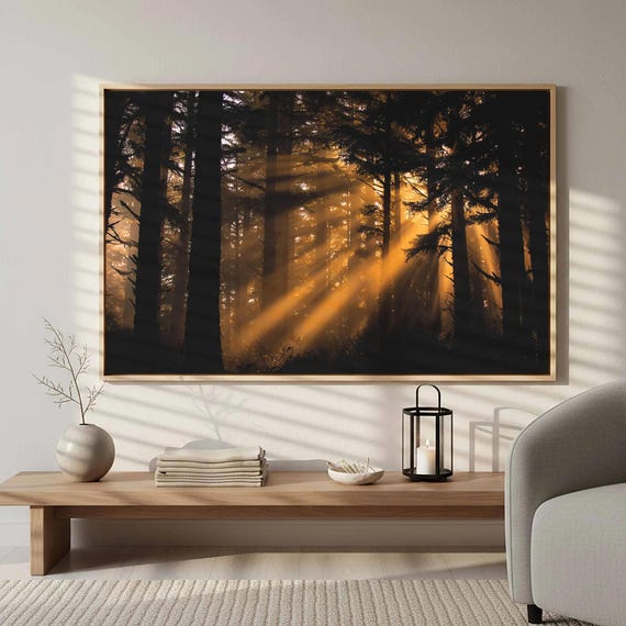 Forest Sunlight Canvas Wall Art Nature Photography Print