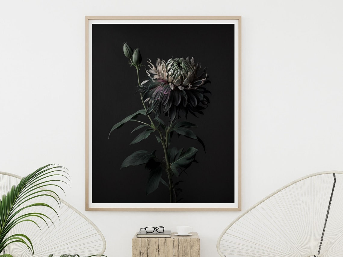 Dark Moody Chrysanthemum Flower On Black Background Wall Art - Image 5