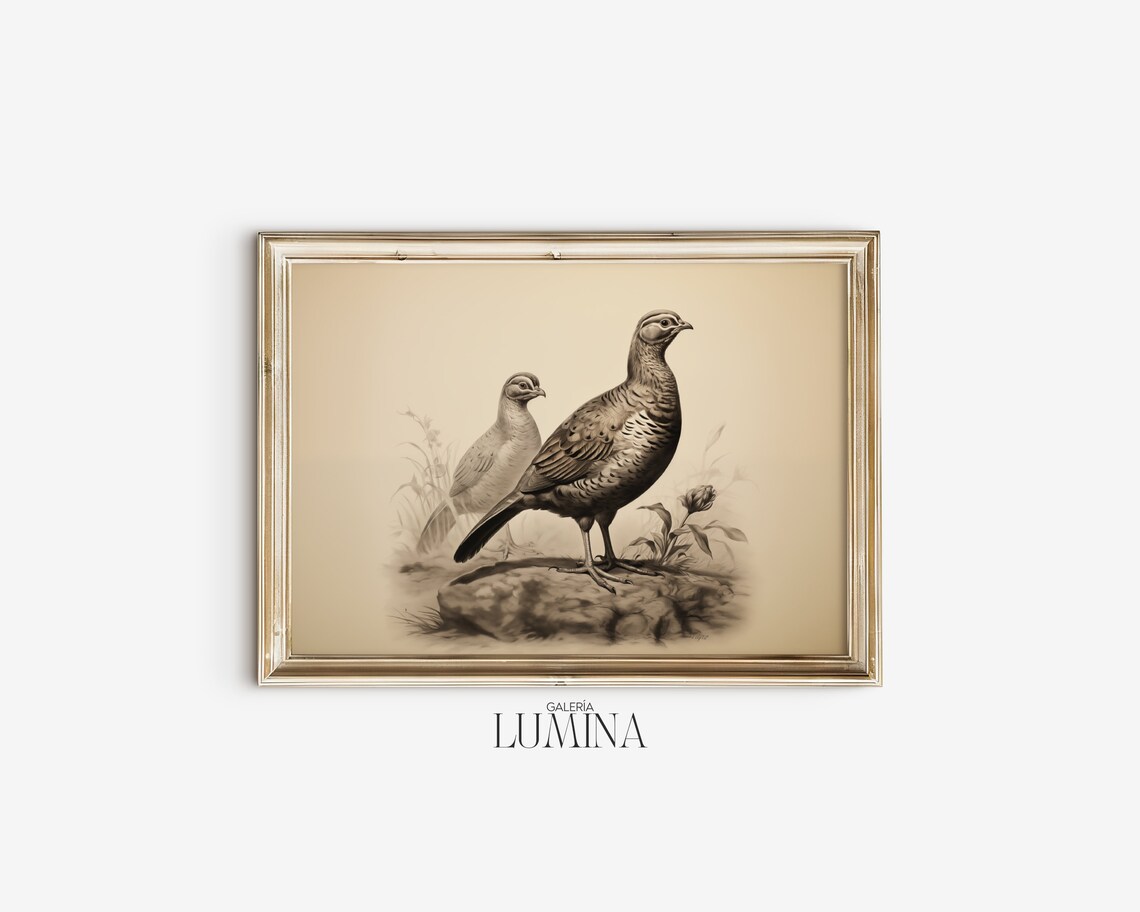 Quail Pencil Drawing, Vintage Neutral Bird Art Print - Image 2