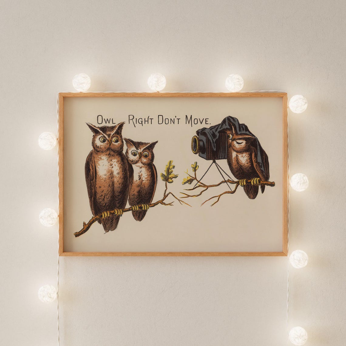 Owl Right Dont Move Vintage Funny Owl Camera Photographer Gift Poster - Image 2