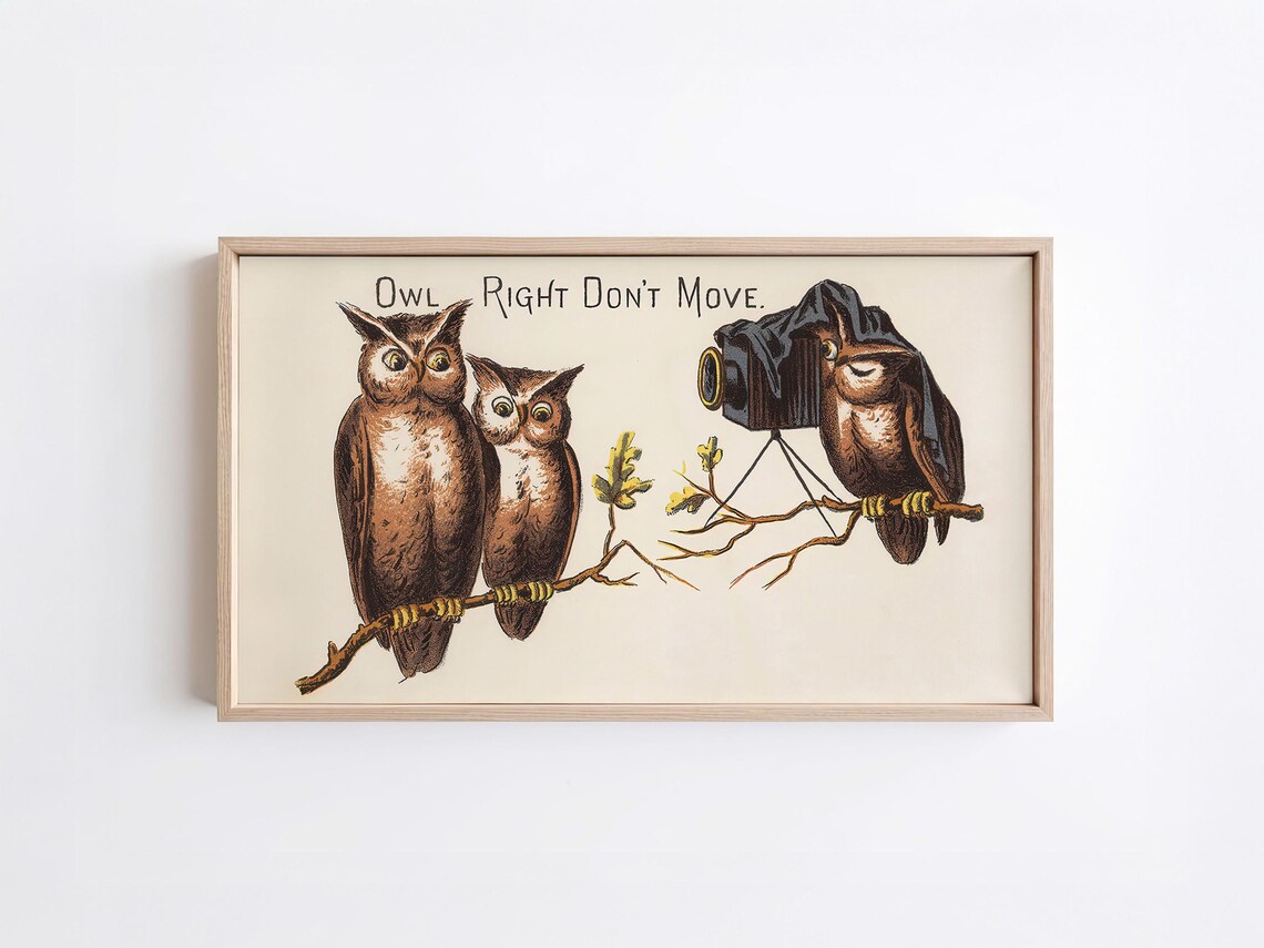 Owl Right Dont Move Funny Vintage Owl Photography Pun Wall Art