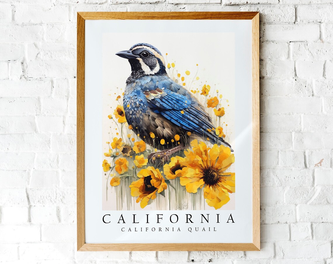 California Quail Bird Yellow Wildflower State Bird Art Poster