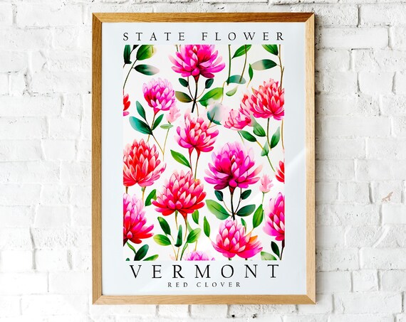 Vermont State Flower Red Clover Watercolor Botanical Art Poster