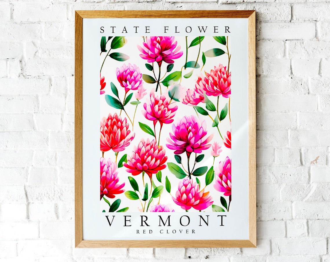 Vermont State Flower Red Clover Watercolor Botanical Art Poster