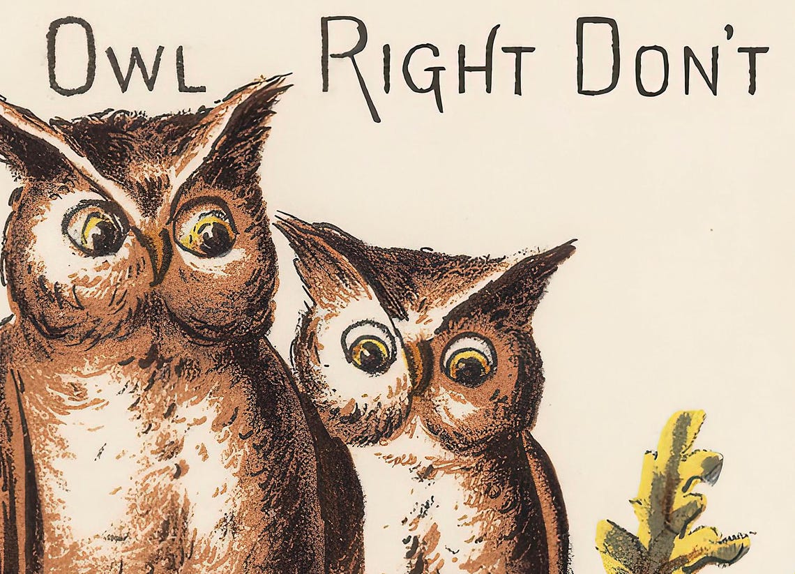 Owl Right Dont Move Funny Vintage Owl Photography Pun Wall Art - Image 2