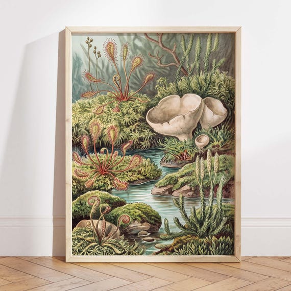 Vintage Botanical Carnivorous Plant, Cottagecore Poster