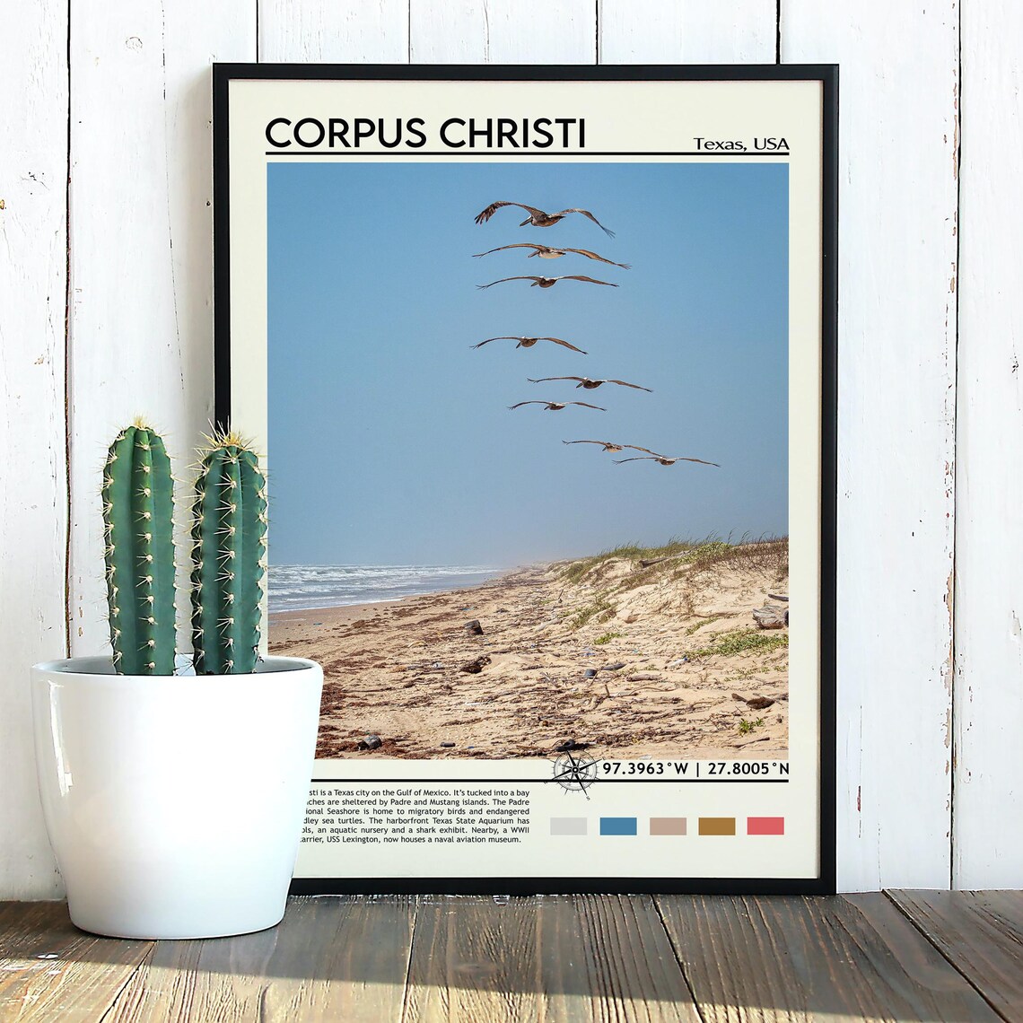 Corpus Christi Texas Pelican Beach Photo Gulf Coast Travel Wall Art - Image 3