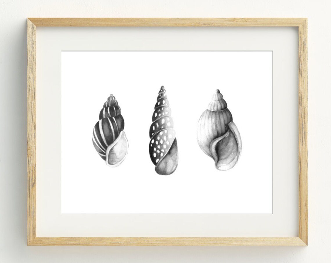 Three Grayscale Seashells Watercolor Coastal Beach Nautical Wall Art Print