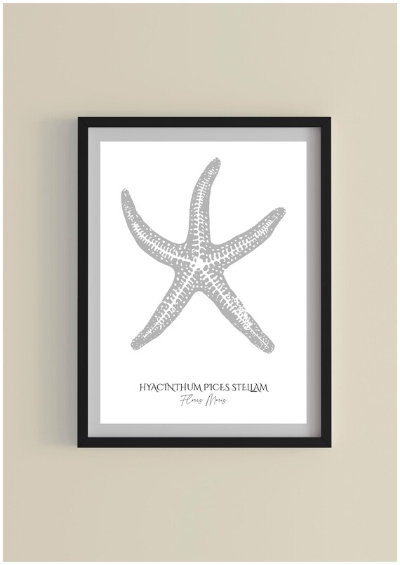 Grey Starfish Watercolor Minimalist Coastal Sea Life Print Decor