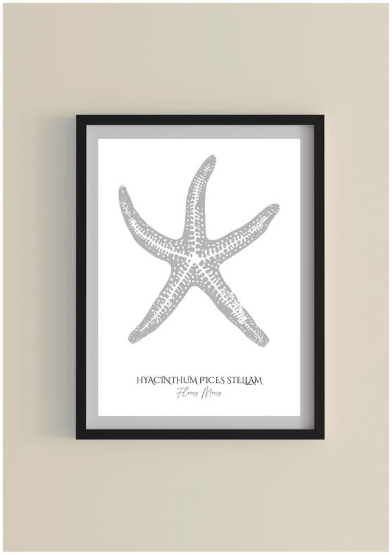 Grey Starfish Watercolor Print Minimalist Coastal Wall Art