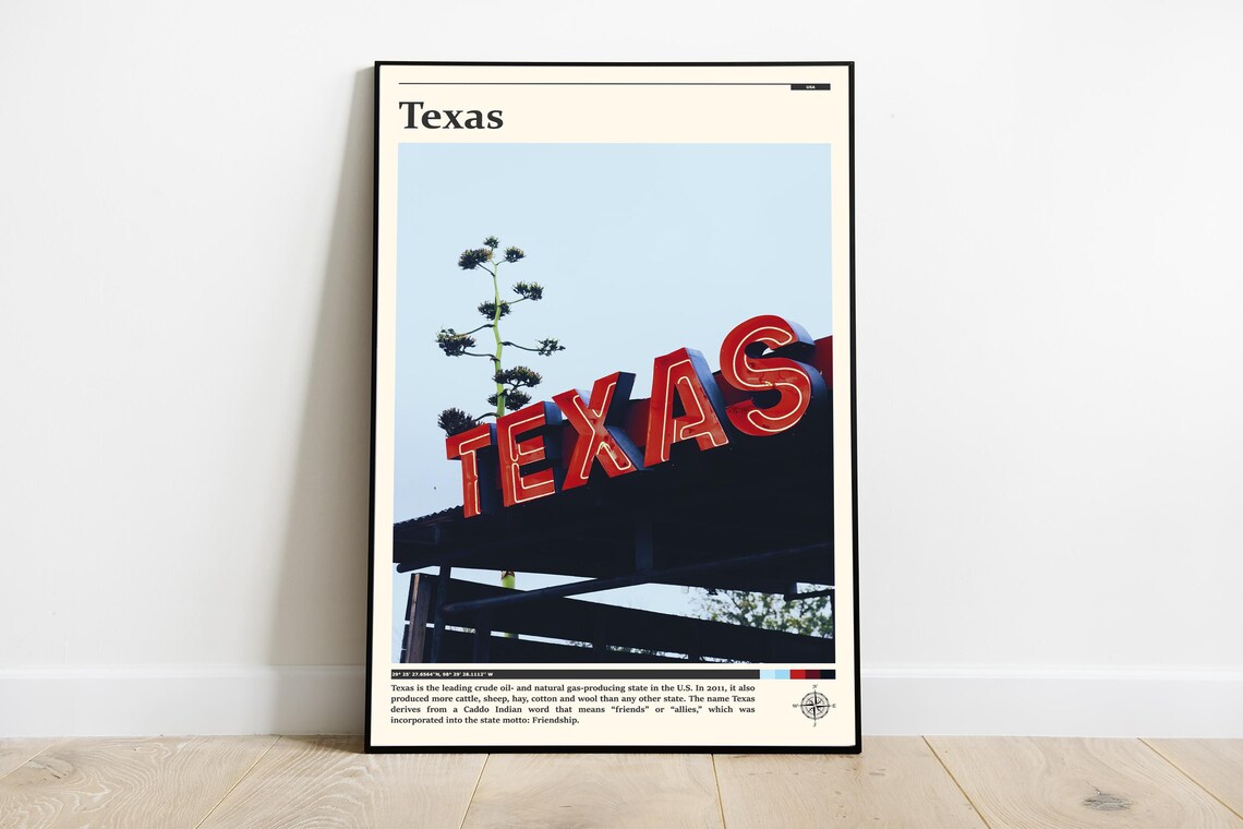 Texas Neon Sign Agave Plant Lone Star State Vintage Style Poster