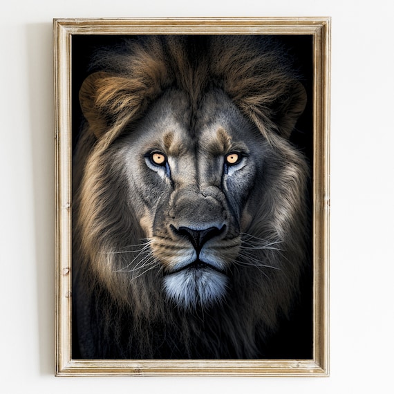 Majestic Lion Close Up Portrait Amber Eyes Dark Background Poster
