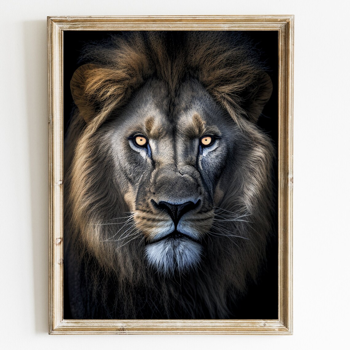 Majestic Lion Close Up Portrait Amber Eyes Dark Background Poster