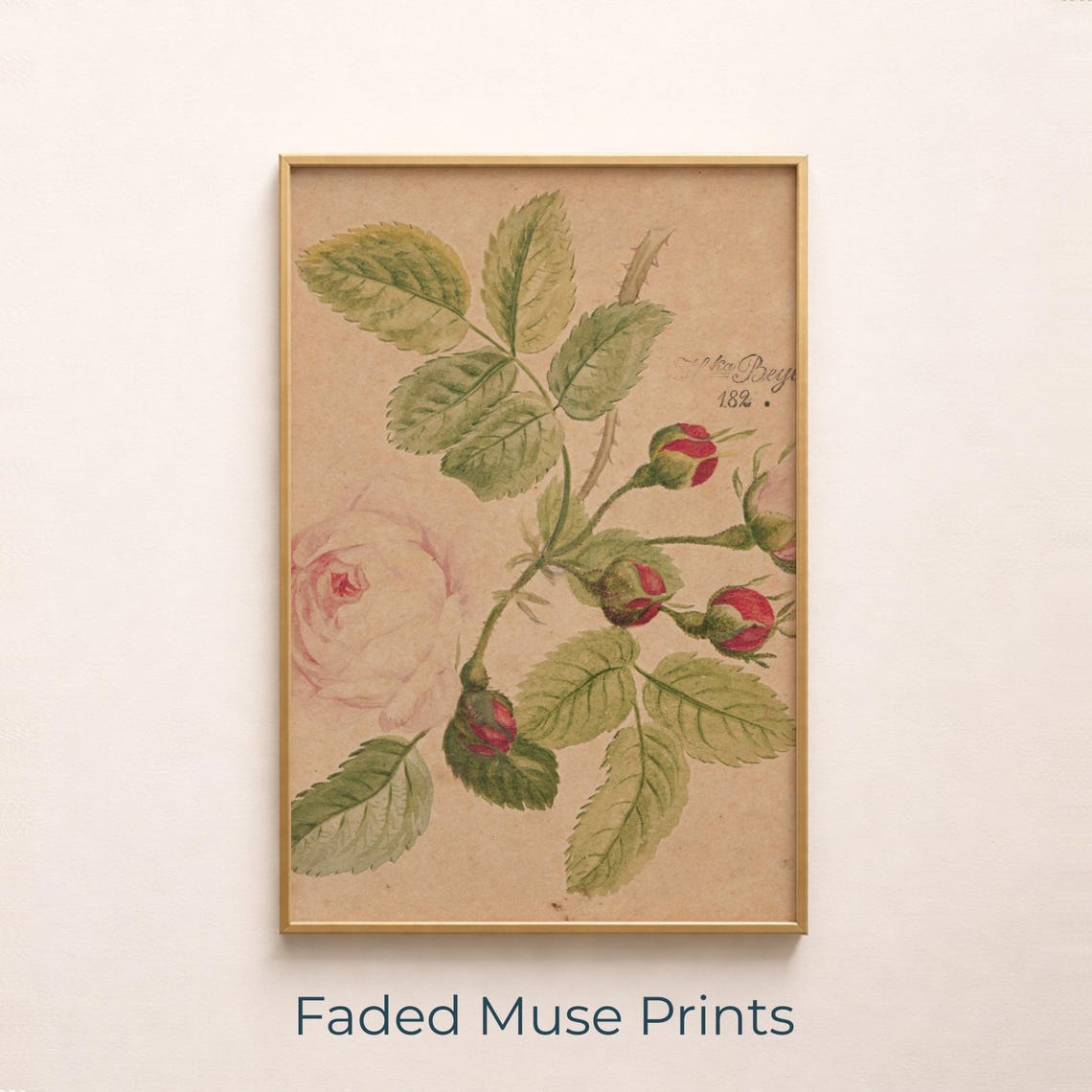 Vintage Botanical Rose Illustration Romantic Cottagecore Art Digital Download 543