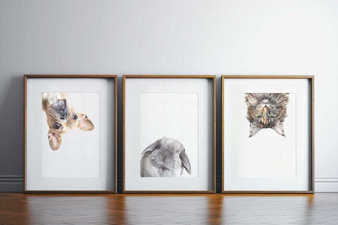 Custom Pet Portrait, Dog or Cat Photo Tribute - Image 2