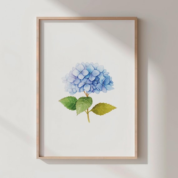Serene Blue Hydrangea Bloom Botanical Watercolor Flower Poster