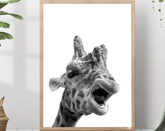 Funny Giraffe Close-Up Portrait Black and White Photo Nursery Print
