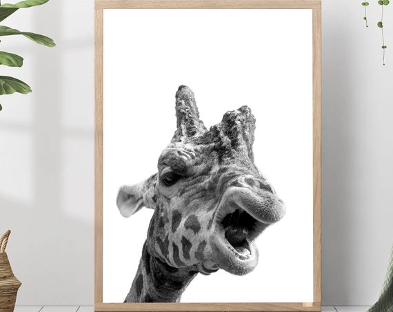 Giraffe Portrait Print Black White Photo Nursery Farm Animal Wall Art Safari Home Decor Poster Gift For Lovers