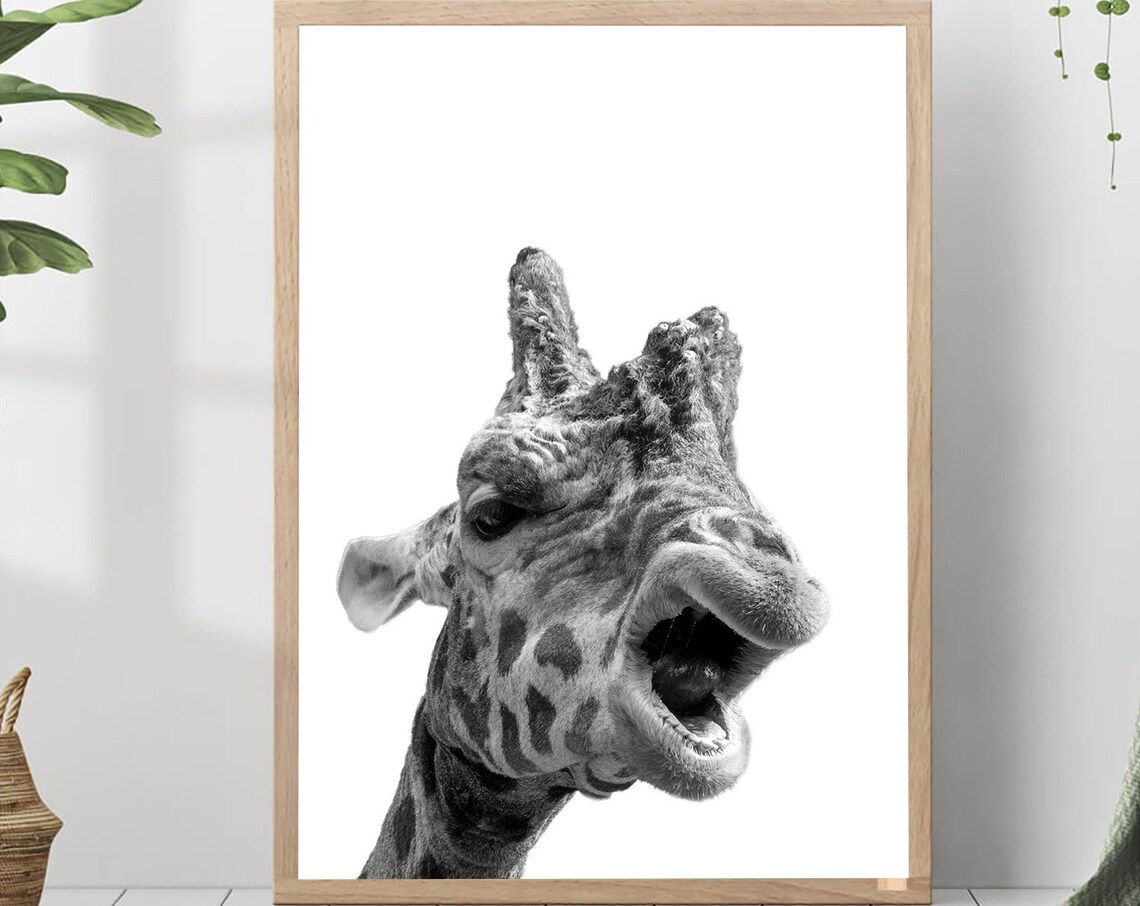 Funny Giraffe Close-Up Portrait Black and White Photo Nursery Print