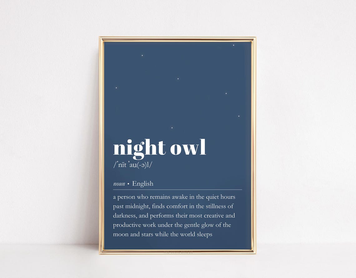 Funny Night Owl Dictionary Definition Starry Navy Quote Poster