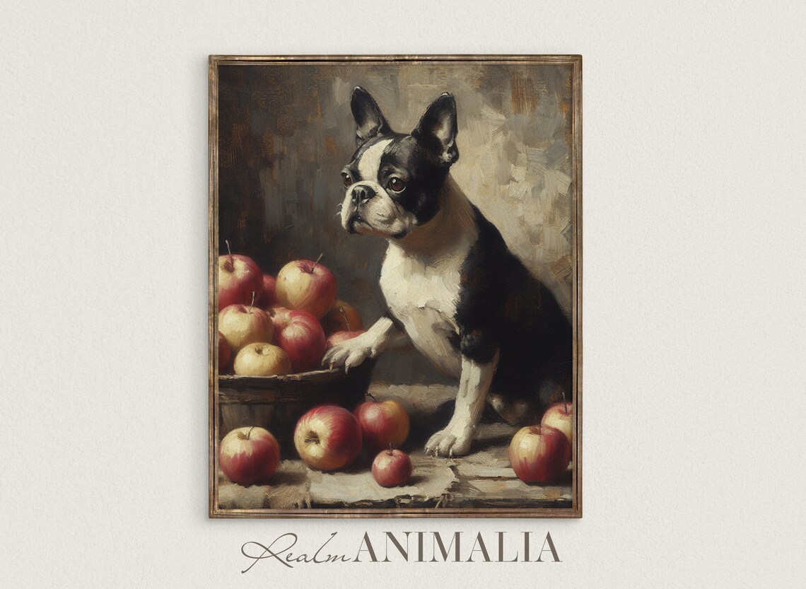Vintage Boston Terrier Portrait, Dog Art Print