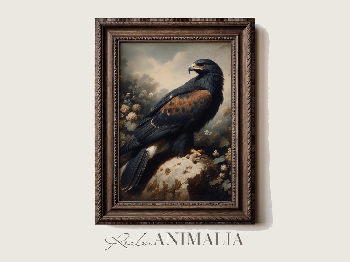Black Hawk Perched On Rock Moody Classical Wildlife Painting Poster - Image 2