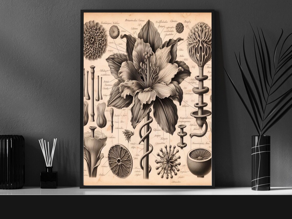 Vintage Botanical Anatomy Lily Sketch Antique Floral Wall Art - Image 6