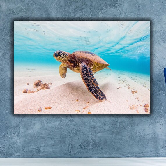 Ocean Wall Art Turtle In Ocean Wall Art Underwater Art Life Aquatic Sea Turtle Art Ready To Hang