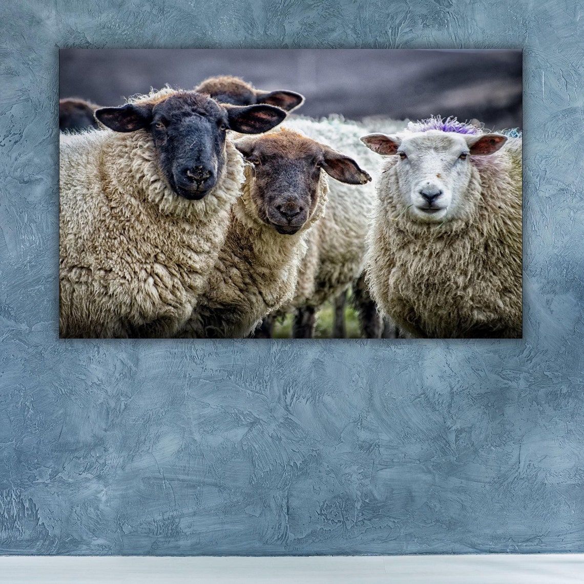 Curious Flock of Sheep Close Up Farm Animal Photography Poster
