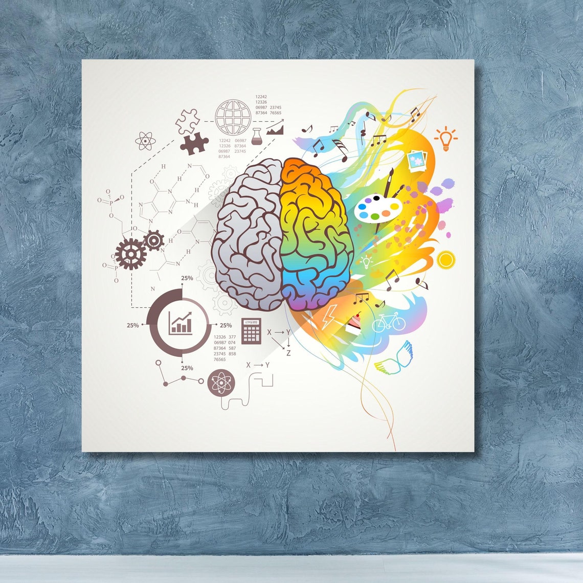 Creative vs Logical Brain Anatomy Colorful Science Education Poster