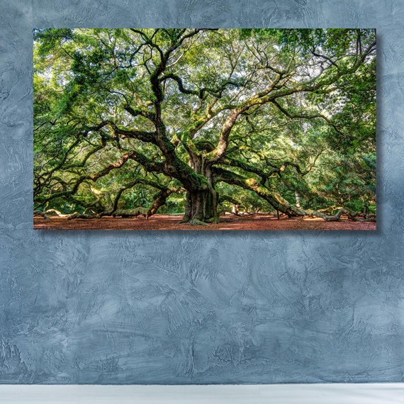 Beautiful Angel Oak Print Art Green Angel Oak Tree Wall Art Landscape Print Art Forest Wall Art Living Room Wall Decors