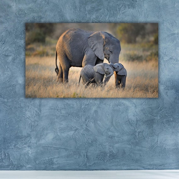 Crowded Baby Elephants And Their Mothers Decor Elephant Herd Wall Art Decor Save The Elephants Print Multi Panels