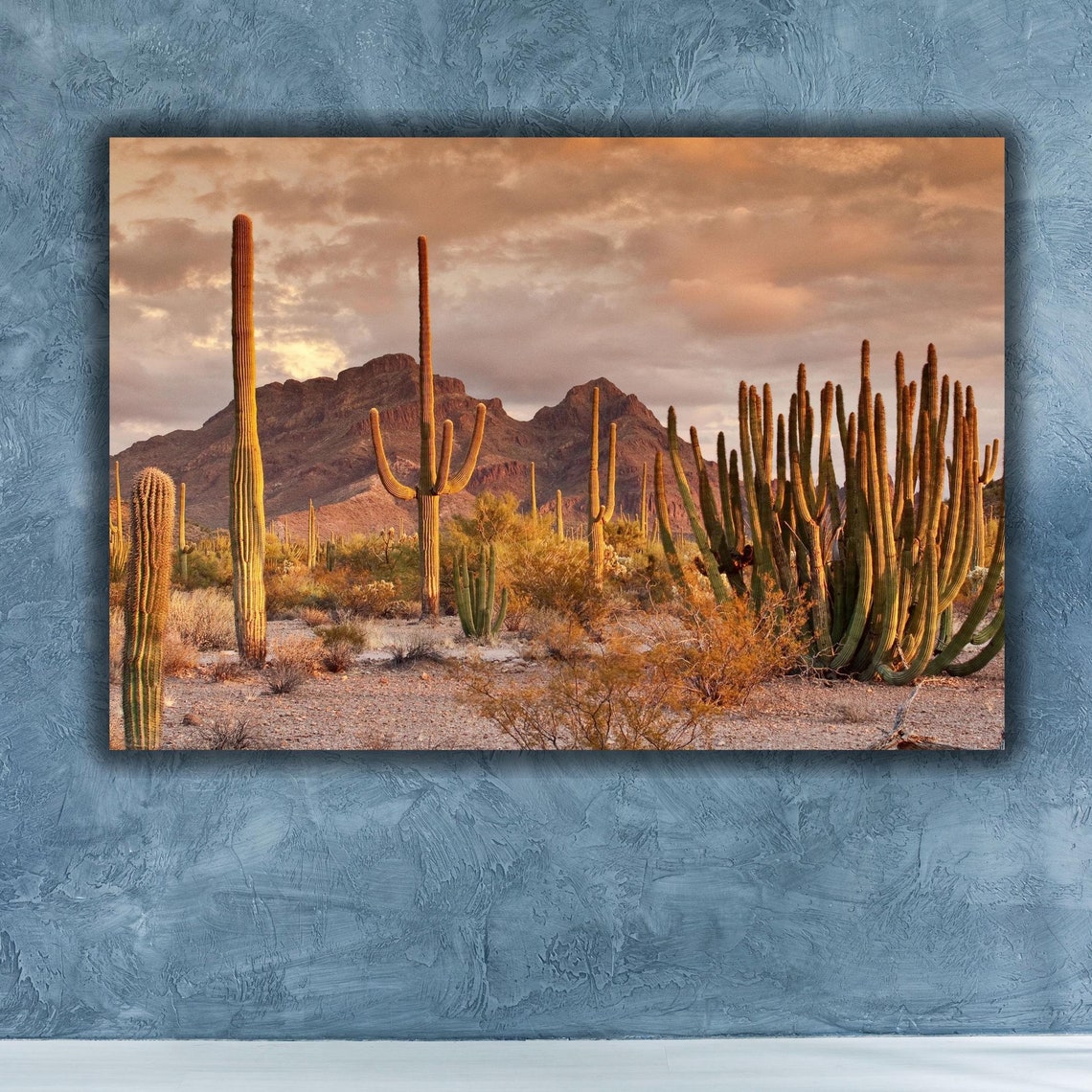 Sonoran Desert Saguaro Cactus Sunset Mountain Landscape Poster