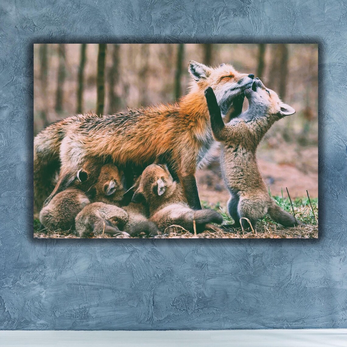 Red Fox Mother With Playful Kits Woodland Wildlife Photo Poster