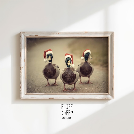 Cute Ducks In Santa Hats Vintage Rustic Christmas Holiday Animal Poster