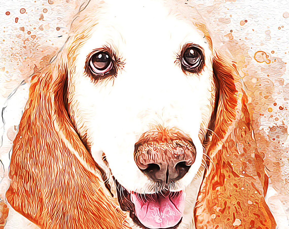 Basset Hound Close Up Watercolor Portrait Dog Wall Art Print