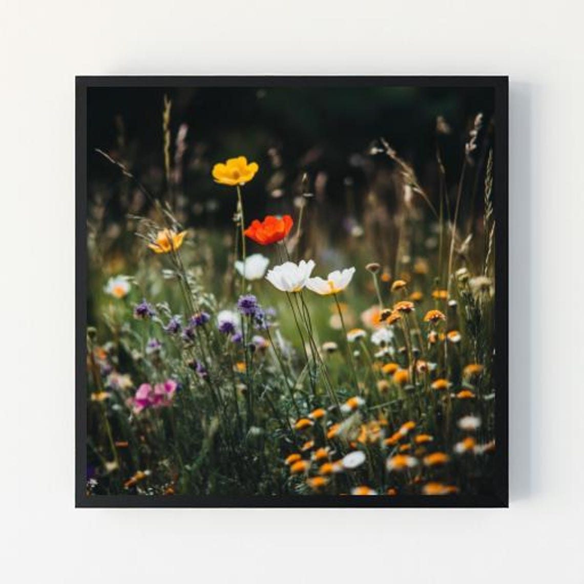 Colorful Wildflower Meadow Poppies Daisies Photography Poster