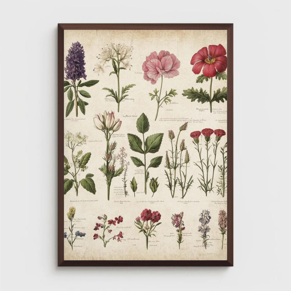 Vintage Botanical Flower Chart Antique Floral Herbarium Poster