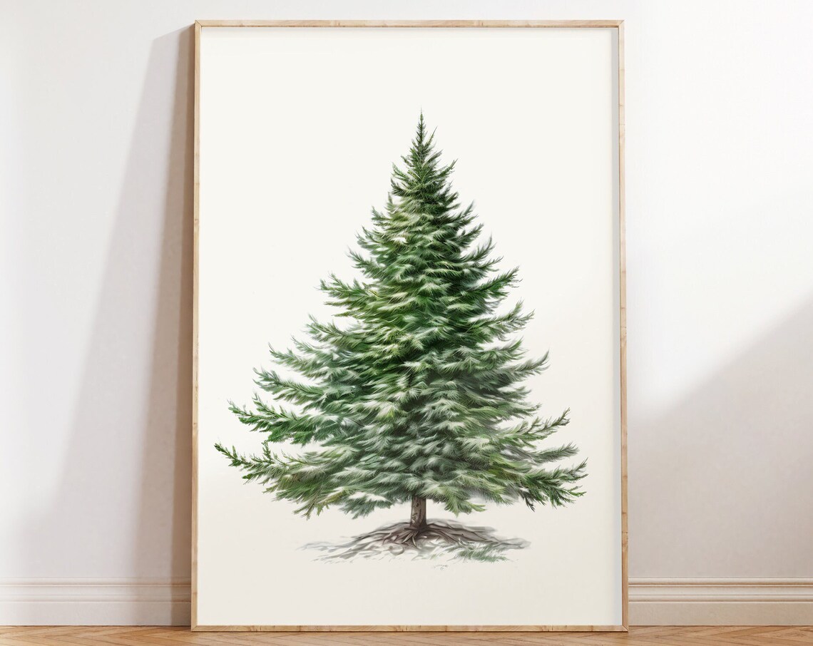 Evergreen Christmas Tree Watercolor Botanical Holiday Poster