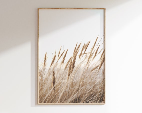 Pampas Grass Coastal Neutral Art Print