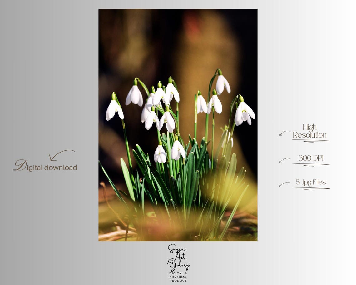 Snowdrop Flower Print Minimalist Botanical Wall Art
