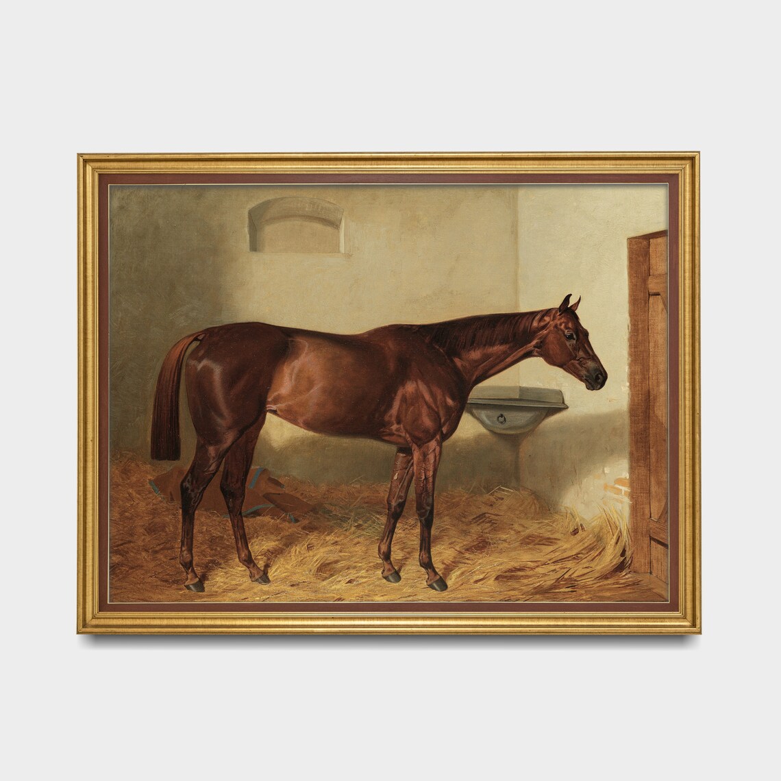 Bay Horse Standing in a Sunlit Stable Equestrian Portrait Poster - Image 4