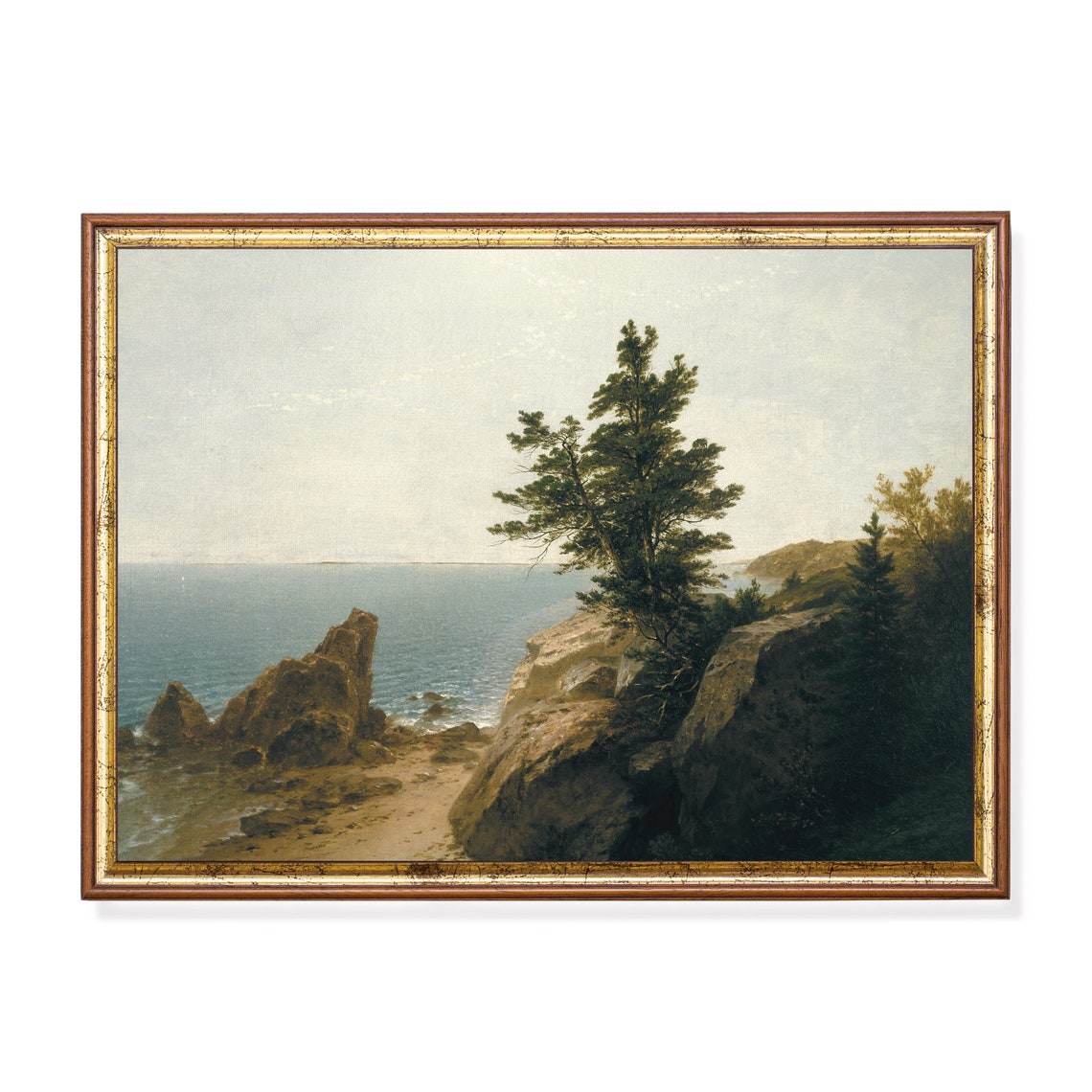 Rocky Coastal Cliff with a Tall Pine Tree Overlooking the Sea Poster