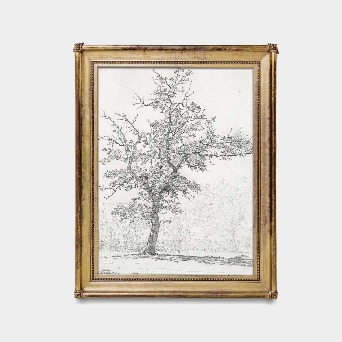 Vintage Tree Sketch Drawing Antique Sketch Print Neutral Art Wall Art Forest Drawing Instant Farmhouse Decor - Image 4