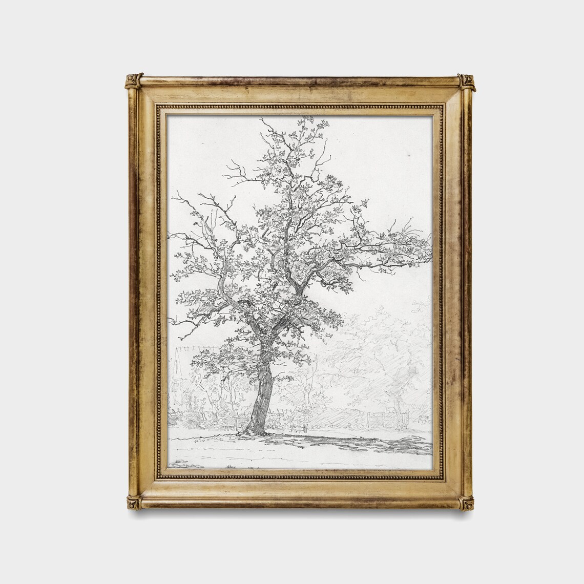 Vintage Tree Sketch Drawing, Neutral Farmhouse Art Print - Image 2
