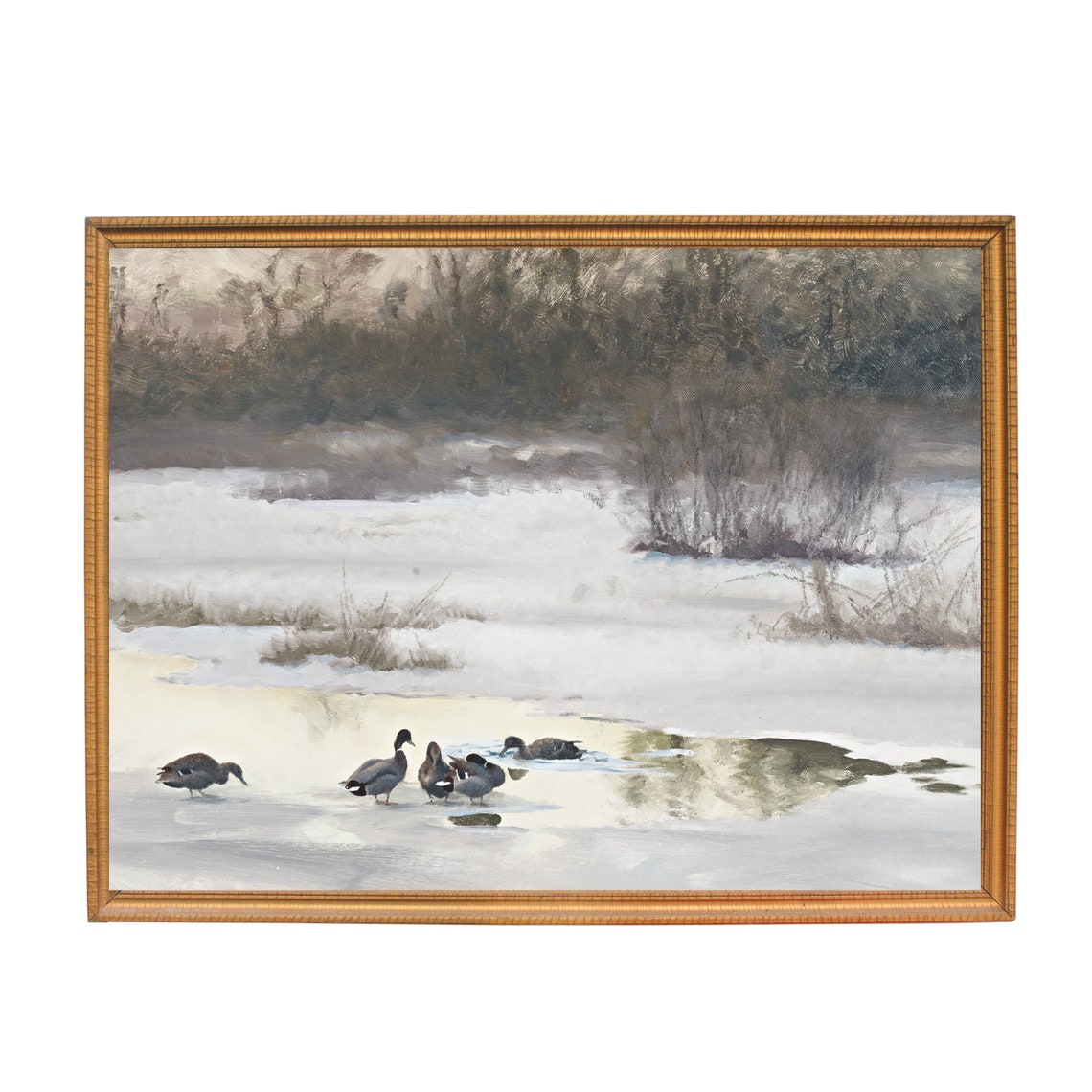 Ducks Standing on a Partly Frozen Winter Pond at Dusk Poster - Image 2