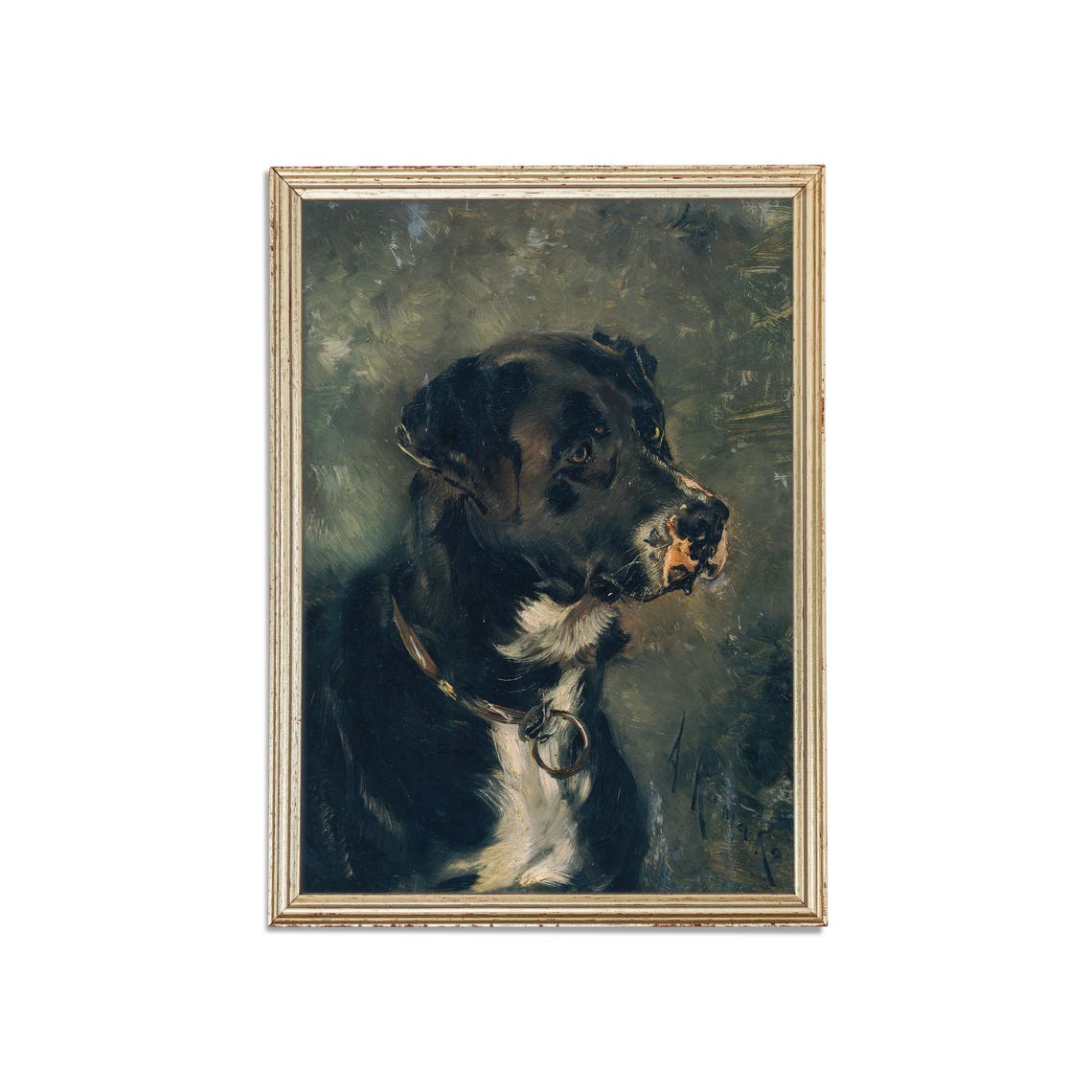 Noble Black Dog Portrait with Collar in Side Profile View Poster - Image 3