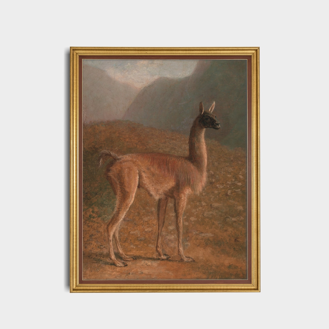 Guanaco Standing in the Andes Mountains Vintage Wildlife Poster - Image 3