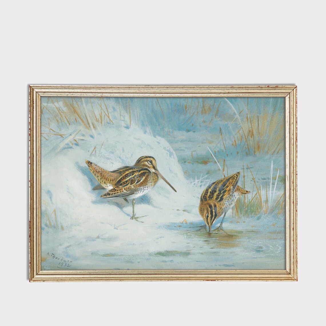 Pair Of Snipe In A Snowy Winter Stream Bird Painting Vintage Poster - Image 3